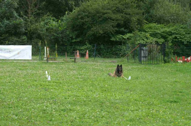 obeissance 2014-08-02